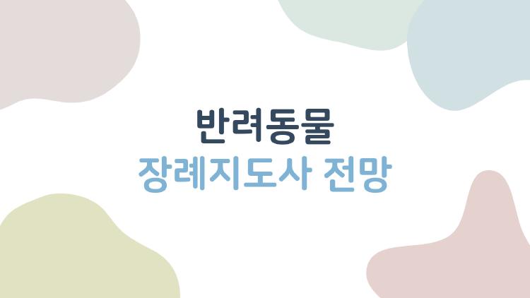 반려동물 장례지도사 전망, 연봉 5천만 원 찍은 사람들 실제 이야기