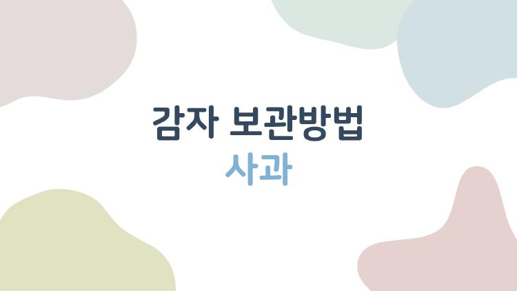 감자 보관방법 사과 넣으면 3개월 신선? 충격 실험