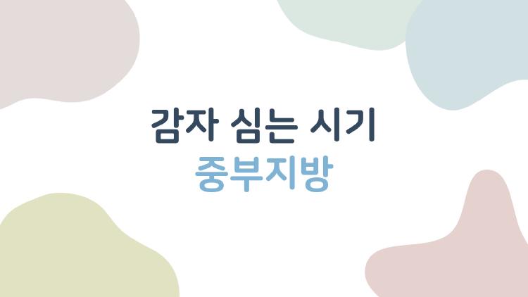 감자 심는 시기 중부지방, 올해 늦서리 피하는 비밀 타이밍