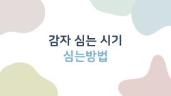 감자 심는 시기 심는방법, 작년 대란 이후 2026년 반드시 알아야 할 타이밍