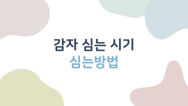 감자 심는 시기 심는방법, 작년 대란 이후 2026년 반드시 알아야 할 타이밍