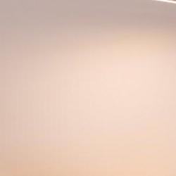 프리즘 스탠드 수리, 어댑터 바꾸기만 하면 살아난 충격 사례