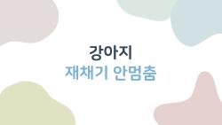 강아지 재채기 안멈춤, 2주 넘어가니 코피까지?