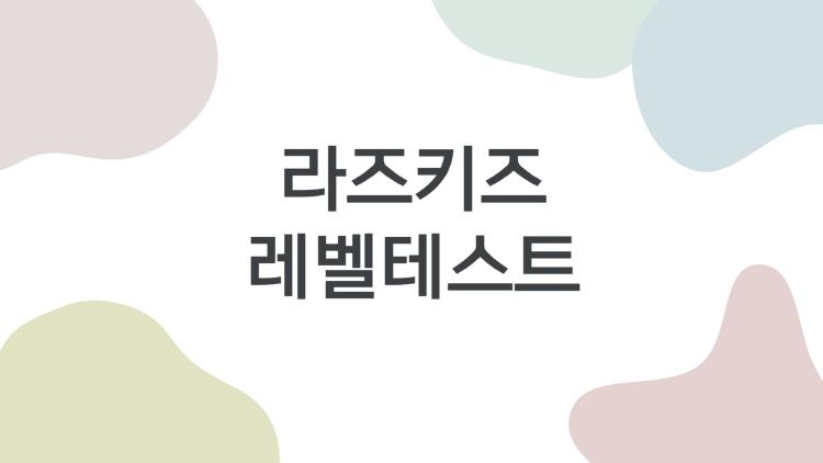 라즈키즈 레벨테스트