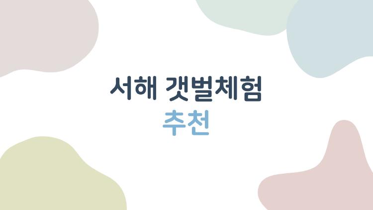 서해 갯벌체험 추천