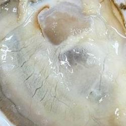 섬진강 벚굴 제철, 지금 안 사면 후회할 이유