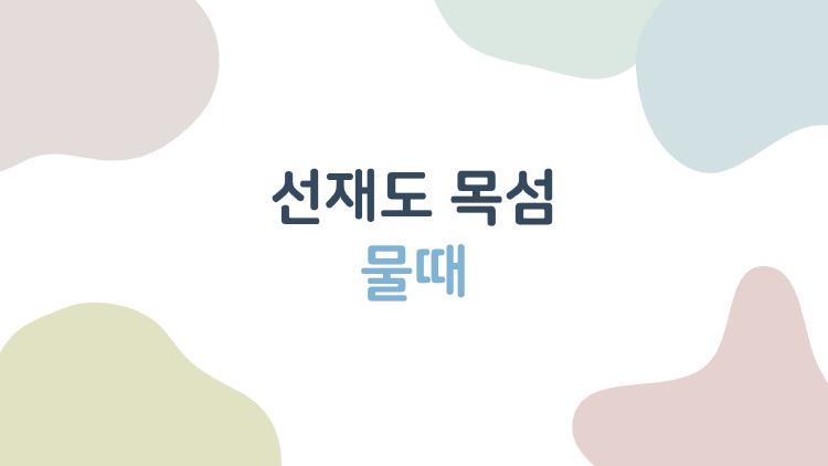 선재도 목섬 물때, 이렇게만 보면 안전하게 간다