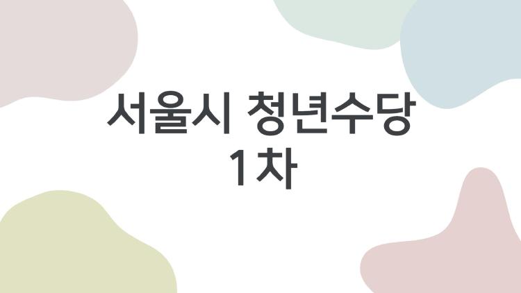 서울시 청년수당 1차