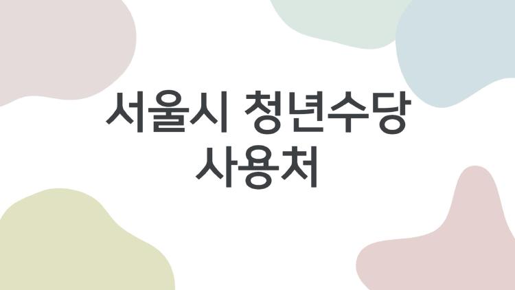 서울시 청년수당 사용처