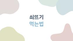 쇠뜨기 먹는법, 봄 보약인데 속 망친 실수 TOP3