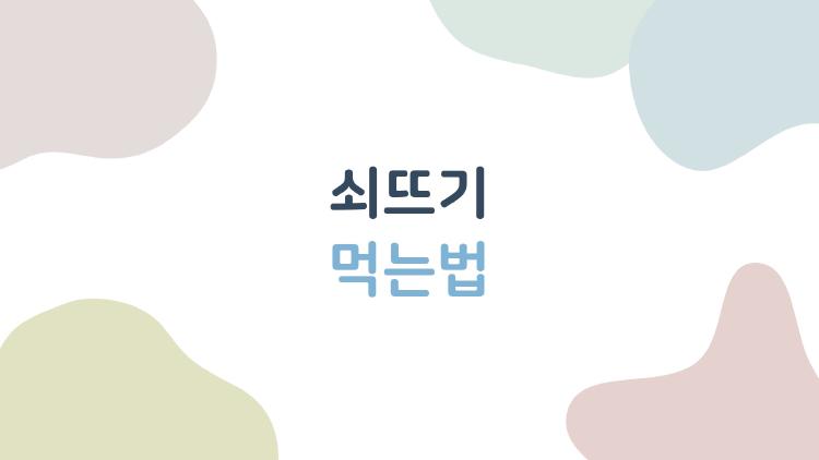 쇠뜨기 먹는법, 봄 보약인데 속 망친 실수 TOP3