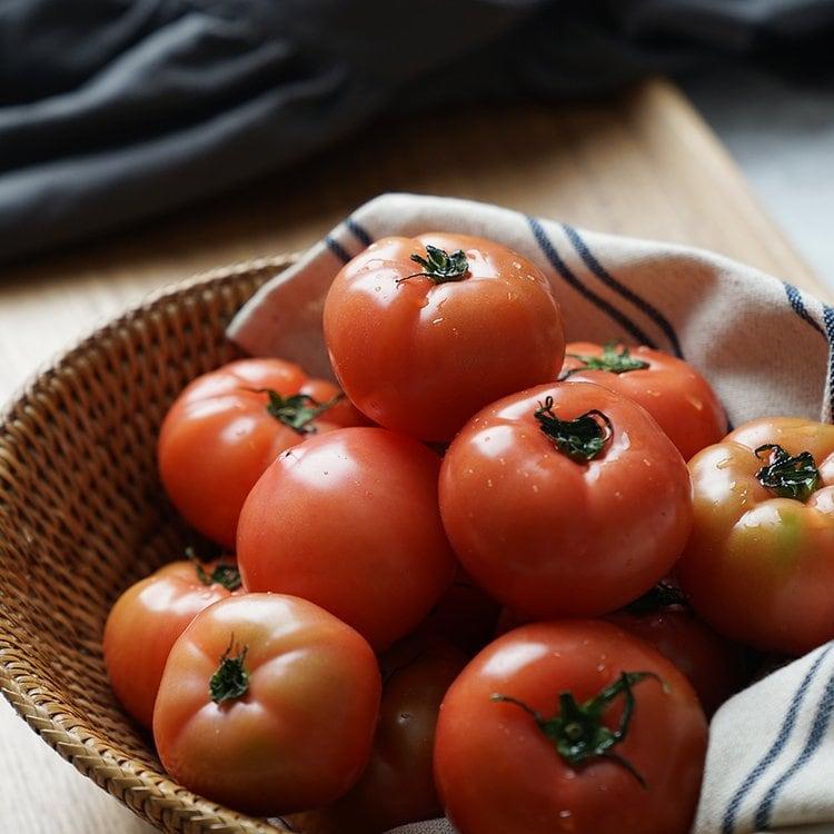 스테비아 토마토 칼로리, 먹으면 정말 살 빠질까?