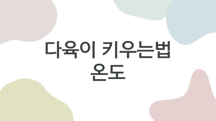 다육이 키우는법 온도, 겨울 5도 아래서 다 죽는 이유