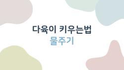 다육이 키우는법 물주기, 썩는 거 한 방에 잡는 비밀