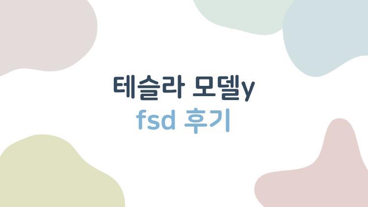 테슬라 모델y fsd 후기
