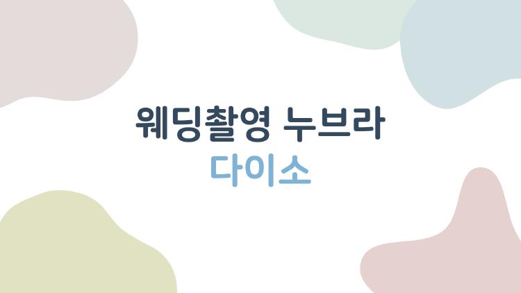 웨딩촬영 누브라 다이소, 진짜 활용 가능할까? 솔직한 후기