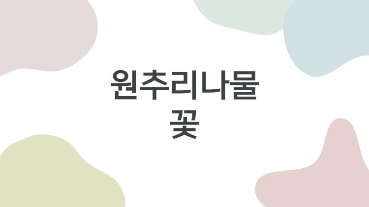 원추리나물 꽃