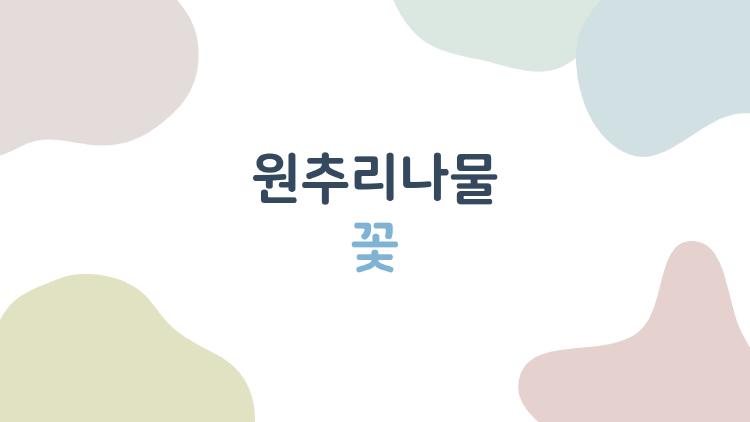 원추리나물 꽃, 근심 날리는 노란 마법?