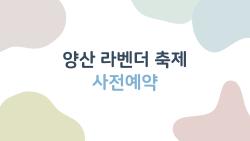 양산 라벤더 축제 사전예약, 정말 안 하면 못 들어간다던데?