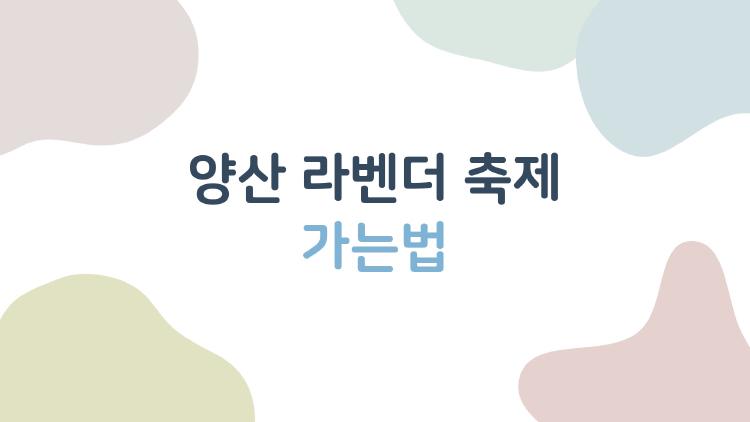 양산 라벤더 축제 가는법